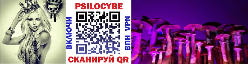 Псилоцибиновые грибы мицелий  купить наркотики сайты  Новотроицк 